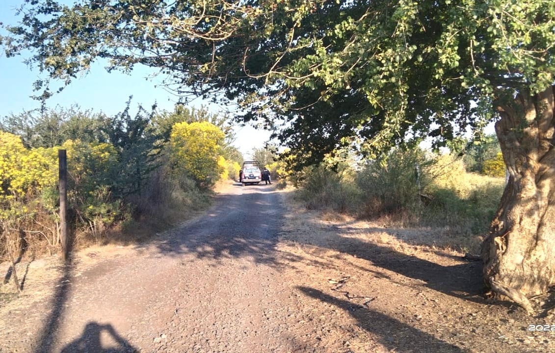 Amanecen 2 ejecutados en un camino de terracería en Zamora