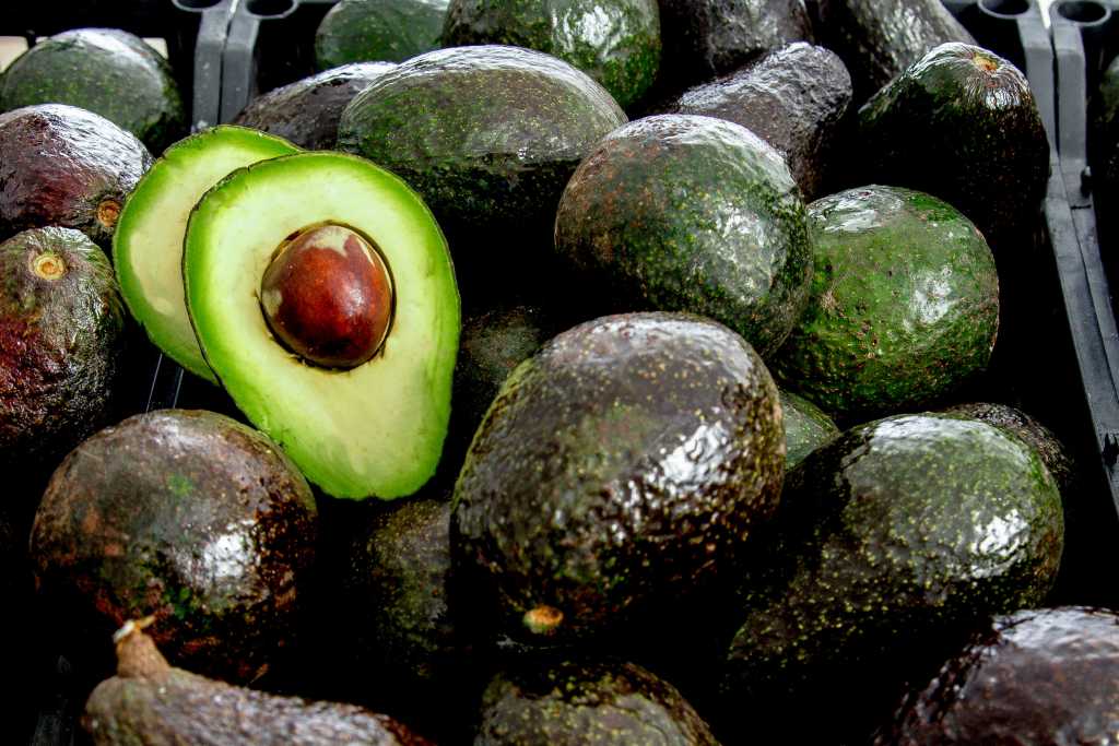 El miércoles Michoacán y Estados Unidos dialogarán sobre exportación de aguacate