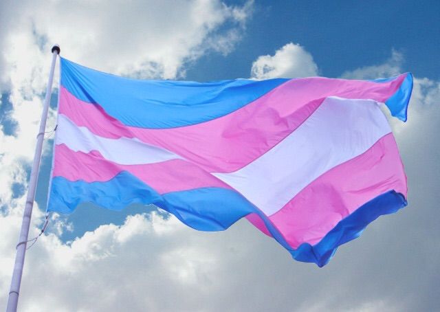 Se opone Texas a la transición trans de menores