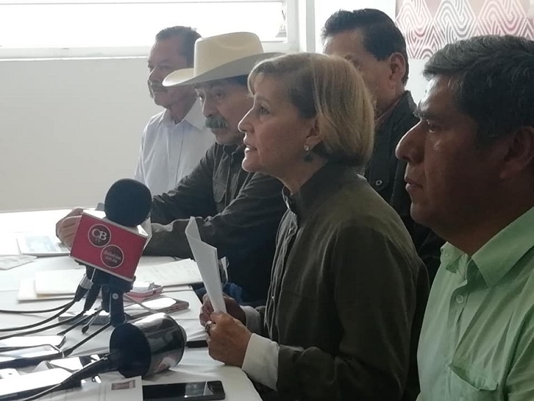 senadora represión magisterio Michoacán
