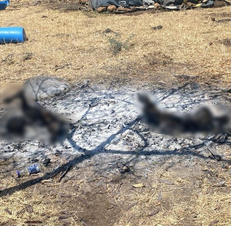 Hallan 2 cuerpos calcinados en Tangancícuaro