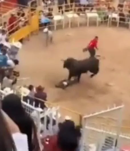 Jinete resulta con lesiones de gravedad al ser pisado por un toro en la Monumental de Morelia