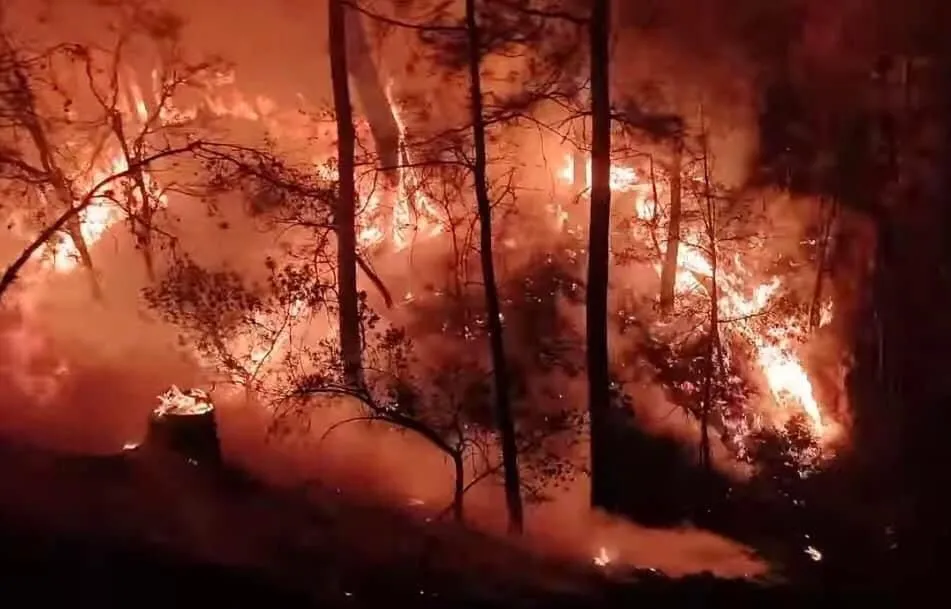 Se registra fuerte incendio forestal en Zinapécuaro