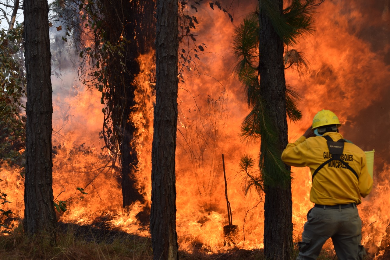 Gobiernos y ciudadanos suman esfuerzos y logran controlar incendio forestal en Uruapan
