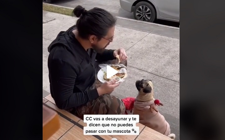 restaurante come afuera con su perrita