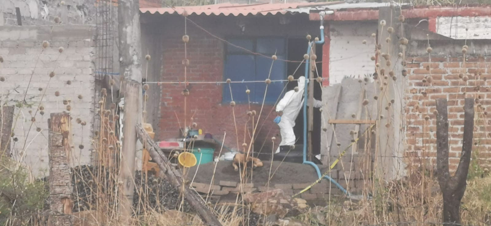 Detienen a asesino de 3 mujeres y 2 menores en colonia El Resplandor de Morelia