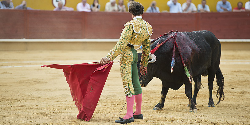 Bullfighter Fighting.