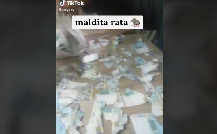 Rata destruye ahorros