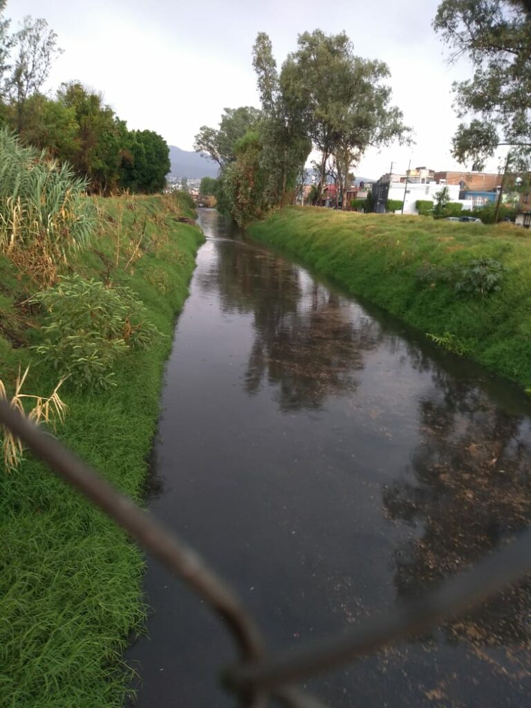 Reporte preliminar de lluvias, 2 árboles caídos en Morelia