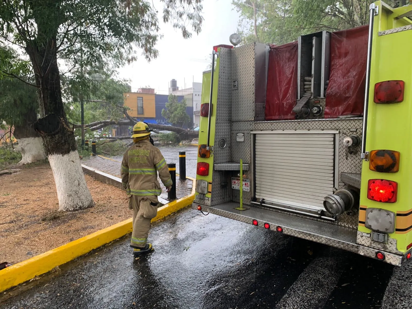 Reporte preliminar de lluvias, 2 árboles caídos en Morelia