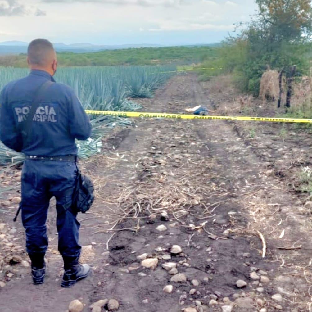 Asesinan a un sujeto en un predio sembrado de maguey