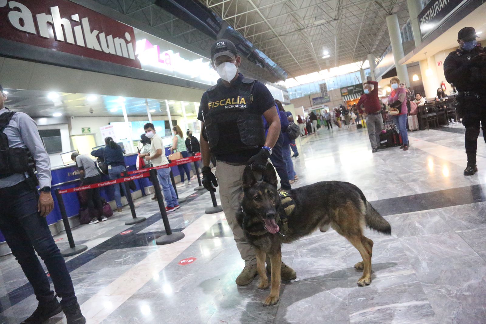 Aseguran marihuana y metanfetamina en el operativo en la TAM