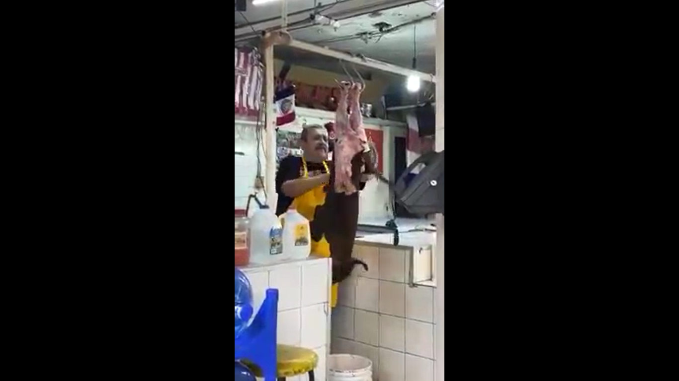 VIDEO: Carnicero desolla perro para la venta en mercado