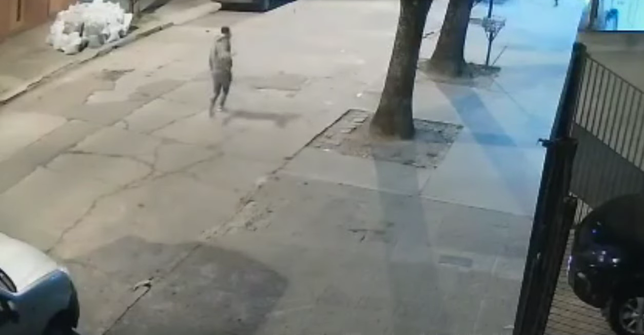 VIDEO: Persigue y atropella a ladrón que robó a su madre