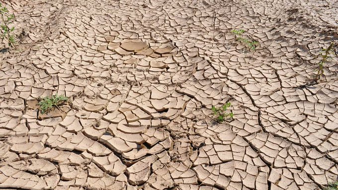 Declaran en México inicio de emergencia por sequía