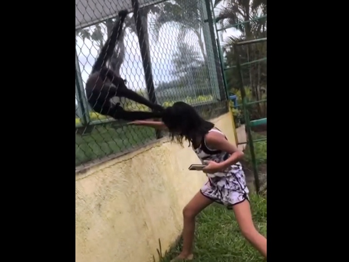 Monos jalan cabello a una joven