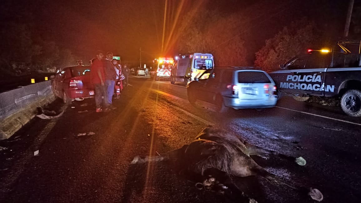 Un caballo ocasiona un accidente en la carretera Morelia - Pátzcuaro