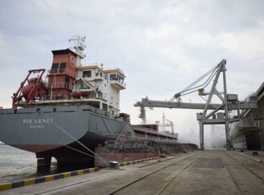 Logra llegar a Turquía primer barco con granos ucranianos