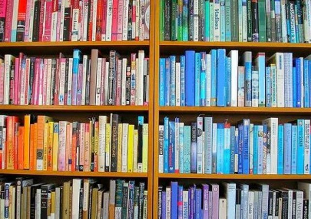 Retiran financiamiento a biblioteca por mostrar libros LGBTTIQ+