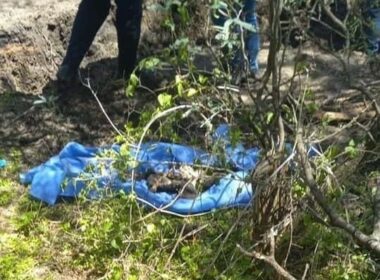Descubren fosa clandestina con 11 cuerpos en límites de Uruapan y Ziracuaretiro