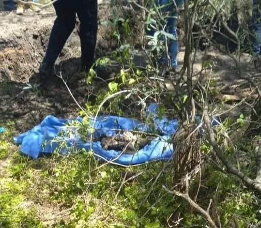 Descubren fosa clandestina con 11 cuerpos en límites de Uruapan y Ziracuaretiro