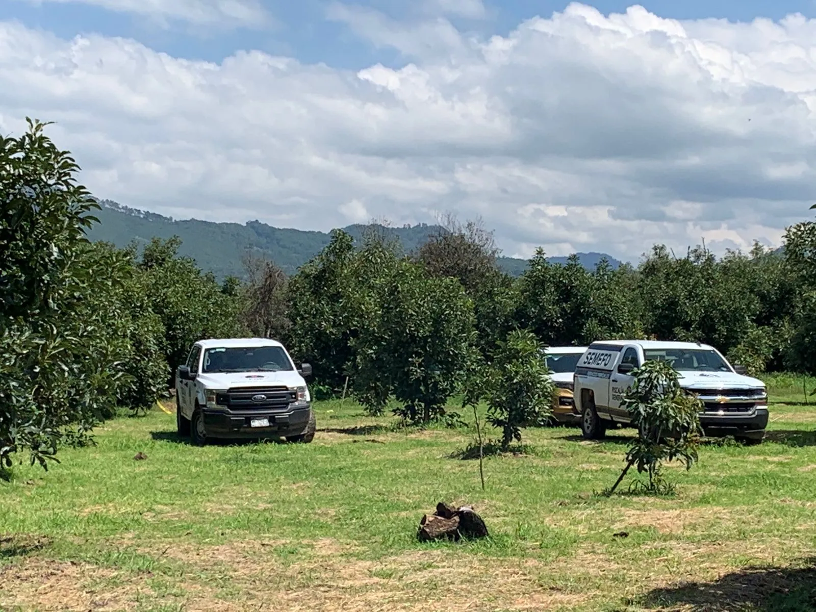 Ya suman 13 cuerpos encontrados en fosas de “El Llanito” en Uruapan