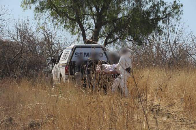 Localizan sujeto asesinado en predio de la colonia El Quinceo