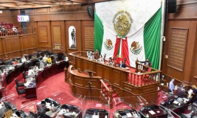 representación Congreso contrapesos