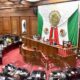 representación Congreso contrapesos