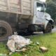 Camión recolector de basura atropella y mata a adulto mayor