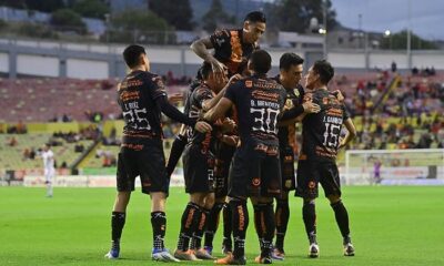 Canarios cuartos de final