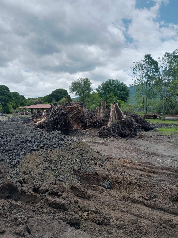 Crece indignación por ecocidio en Lago de Camécuaro