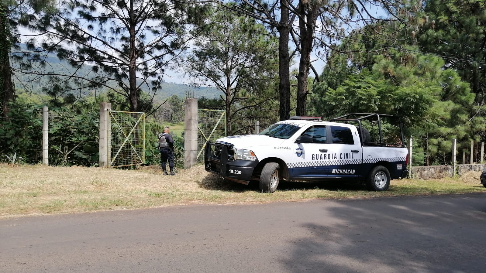 Can desentierra cadáver en Ziracuaretiro