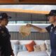 Checo Pérez y Max Verstappen hacen el ‘Tortilla Slap Challenge’