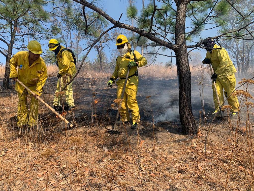 Anuncia Bedolla aumento al presupuesto para combatir incendios forestales