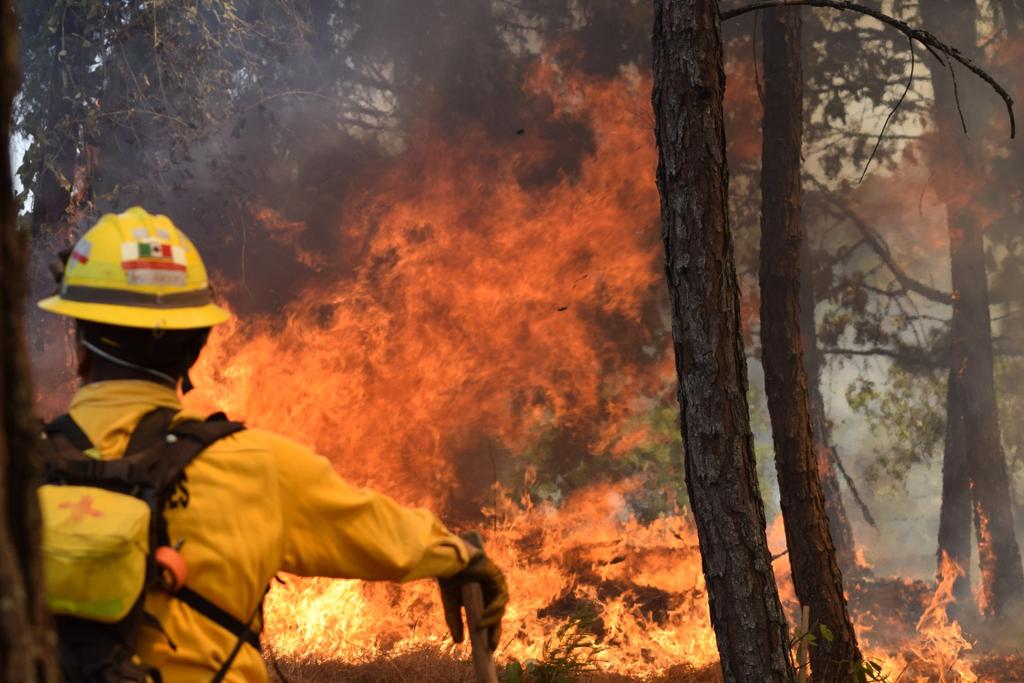 Anuncia Bedolla aumento al presupuesto para combatir incendios forestales