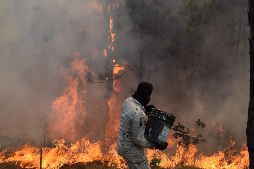 Anuncia Bedolla aumento al presupuesto para combatir incendios forestales