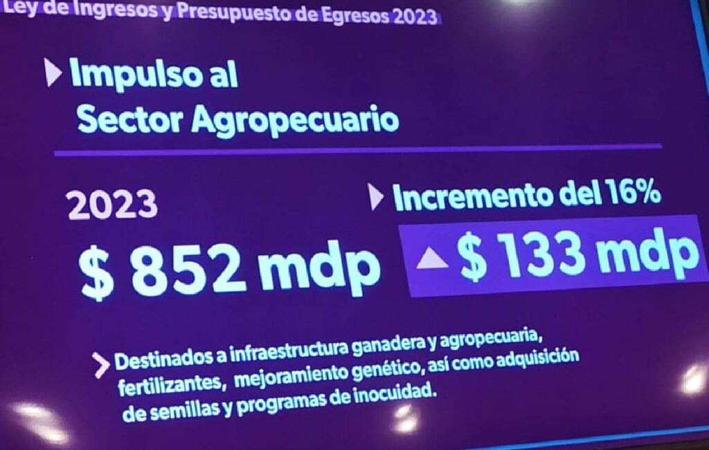 Anuncian aumento presupuestal 2023 a educación y SSP