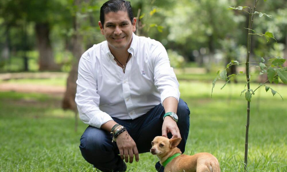 castigar con cárcel maltrato animal
