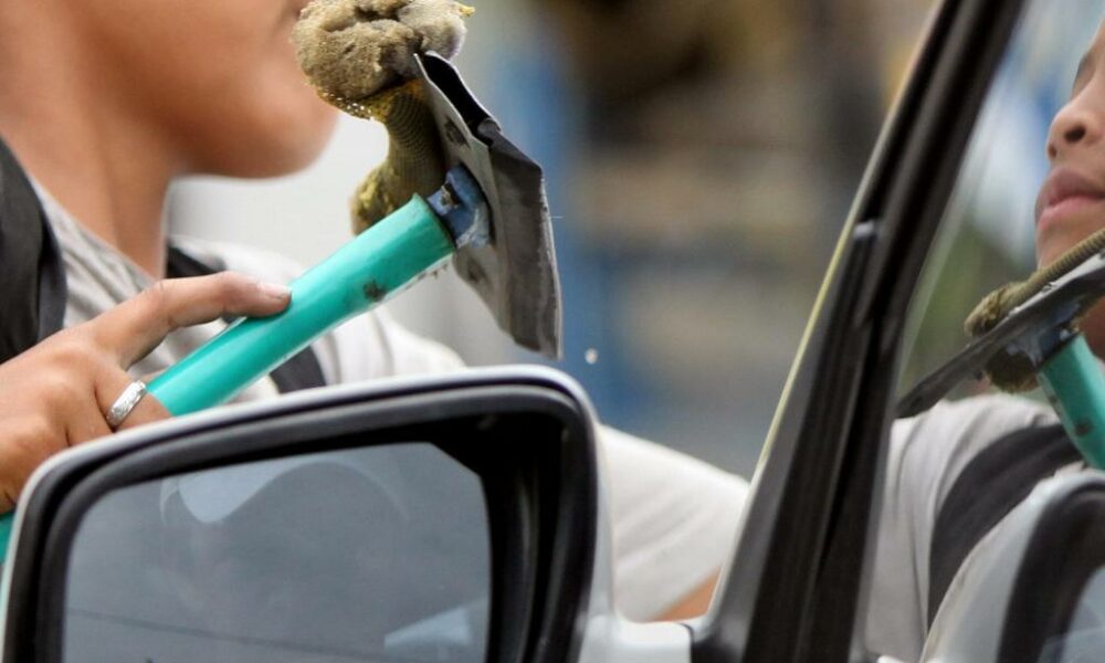 Michoacán, tercer lugar en ocupaciones peligrosas para menores