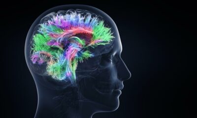 Tips para mantener un cerebro sano