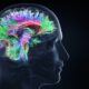 Tips para mantener un cerebro sano