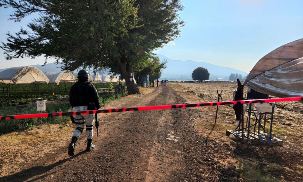 Localizan cadáveres de 2 mujeres y un hombre en Zamora