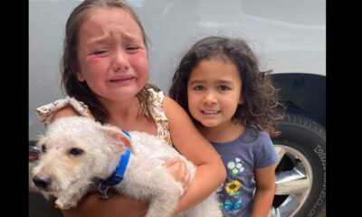 Niñas encontrar perrito_5