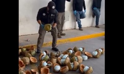 fentanilo escondidos cocos