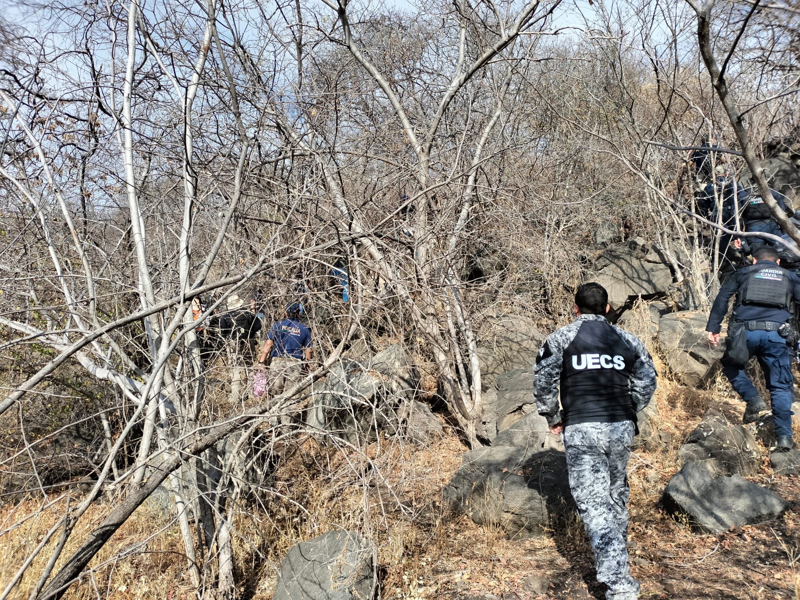 Michoacán y Colima se coordinan para búsqueda de líder comunal de Aquila