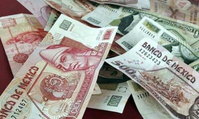 PAN exprime a militantes con cuotas solidarias que rondan los 900 mil pesos