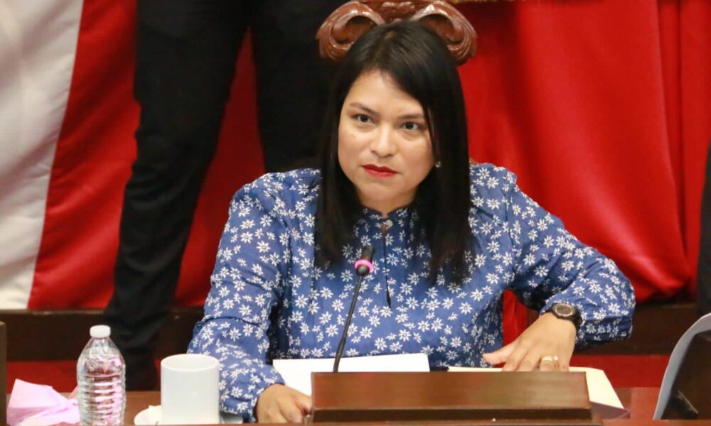 Eréndira Isauro a favor de ciudadanos