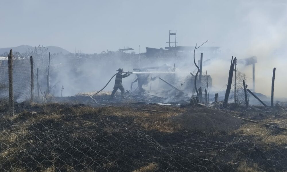 Incendio de pastizal provoca afectación a granja en Morelia