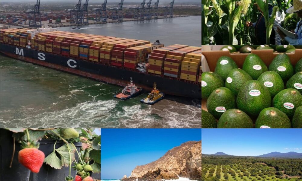 Michoacán entre las entidades con poco crecimiento económico a nivel nacional